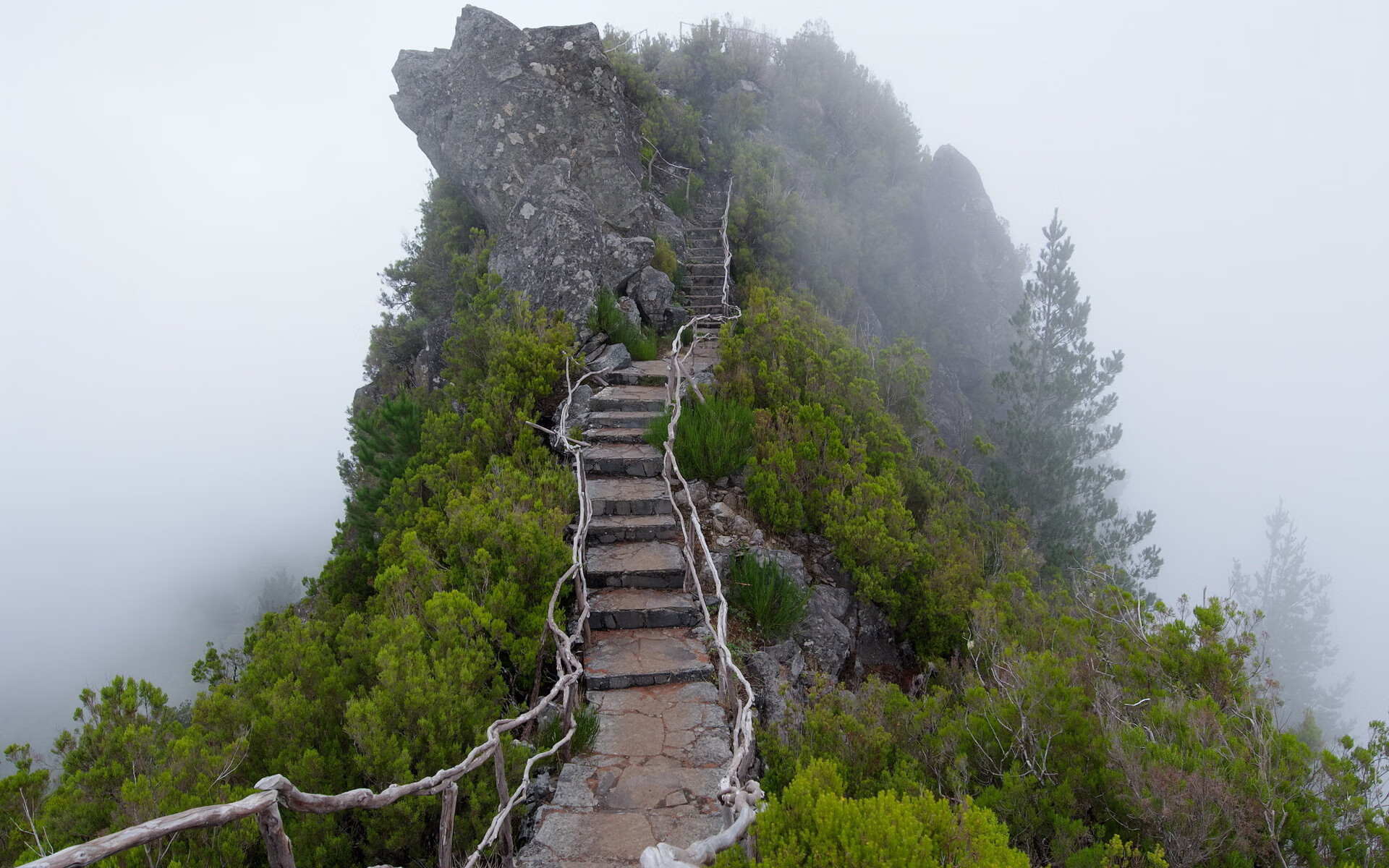 当钢铁防线撞碎华丽炮台，孔德用指尖为智利书写防守史诗