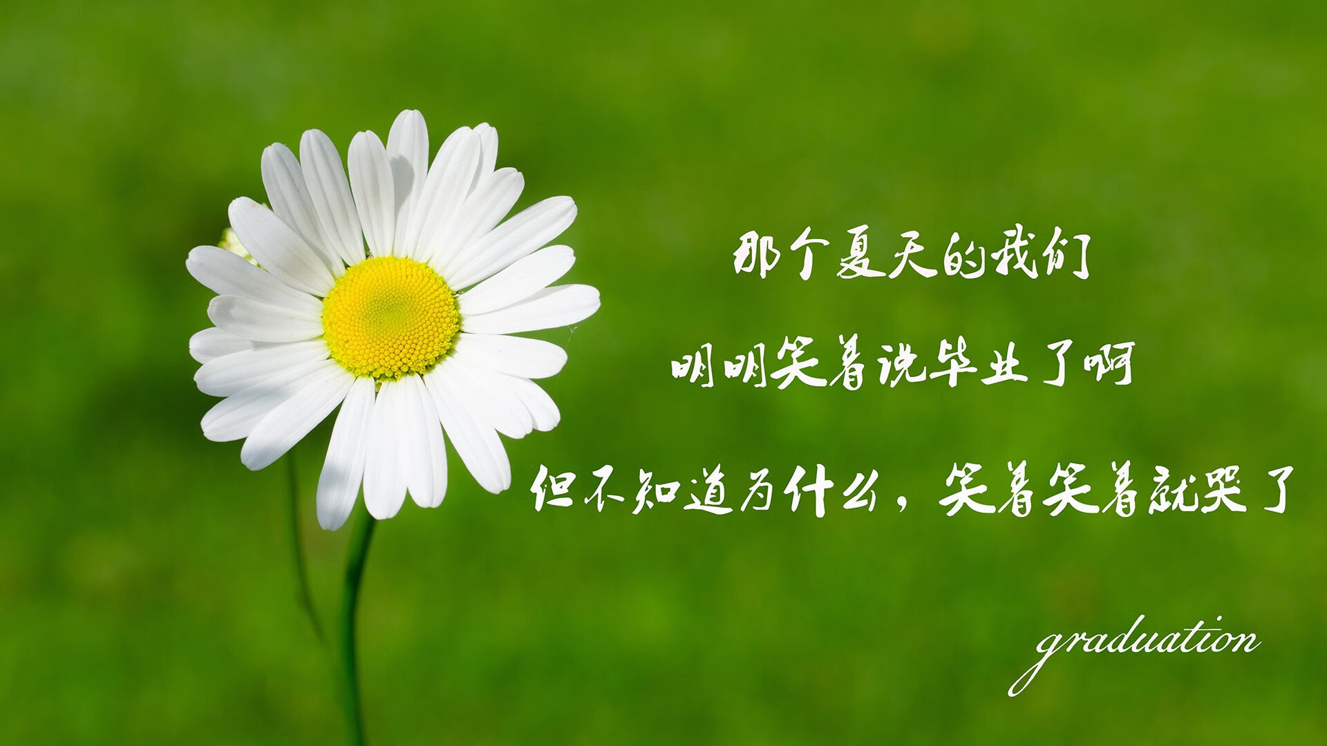 库里全程高能输出!三分雨倾盆而下,雄鹿双加时鏖战力克湖人,一战书写多重传奇